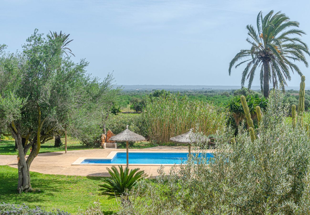 Farm stay in Campos - YourHouse Son Sala Agroturismo Na gual doble
