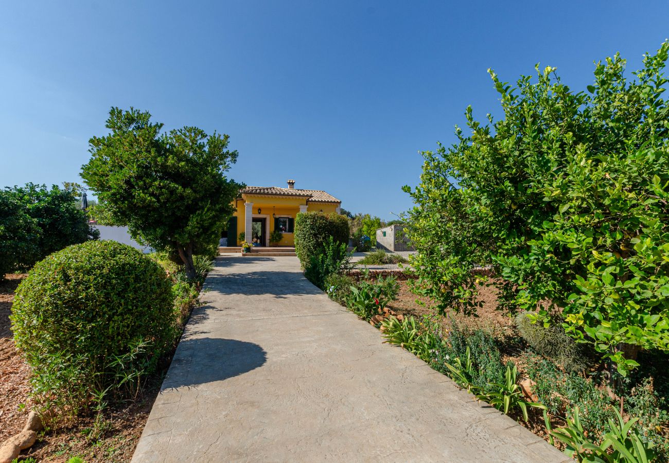 Villa in Buger - YourHouse Son Serra de Búger