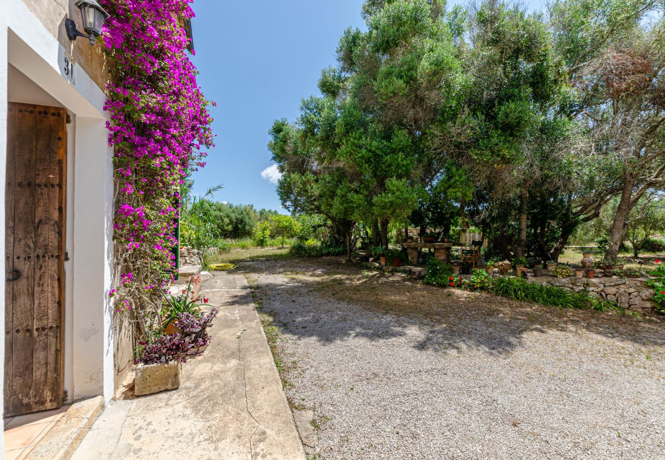 Villa in Felanitx - Finca Es Galliner