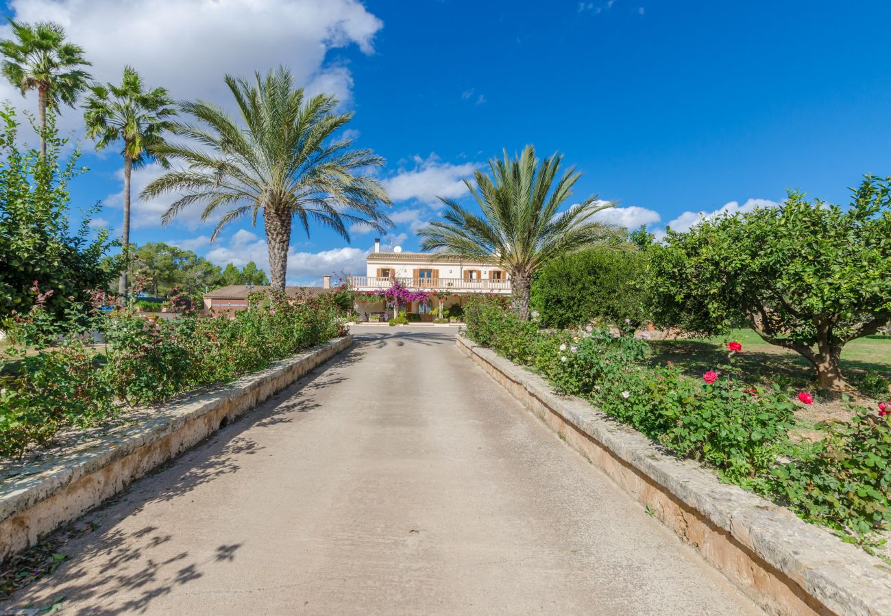 Villa in Ariany - YourHouse Sa Garriga Finca Darder