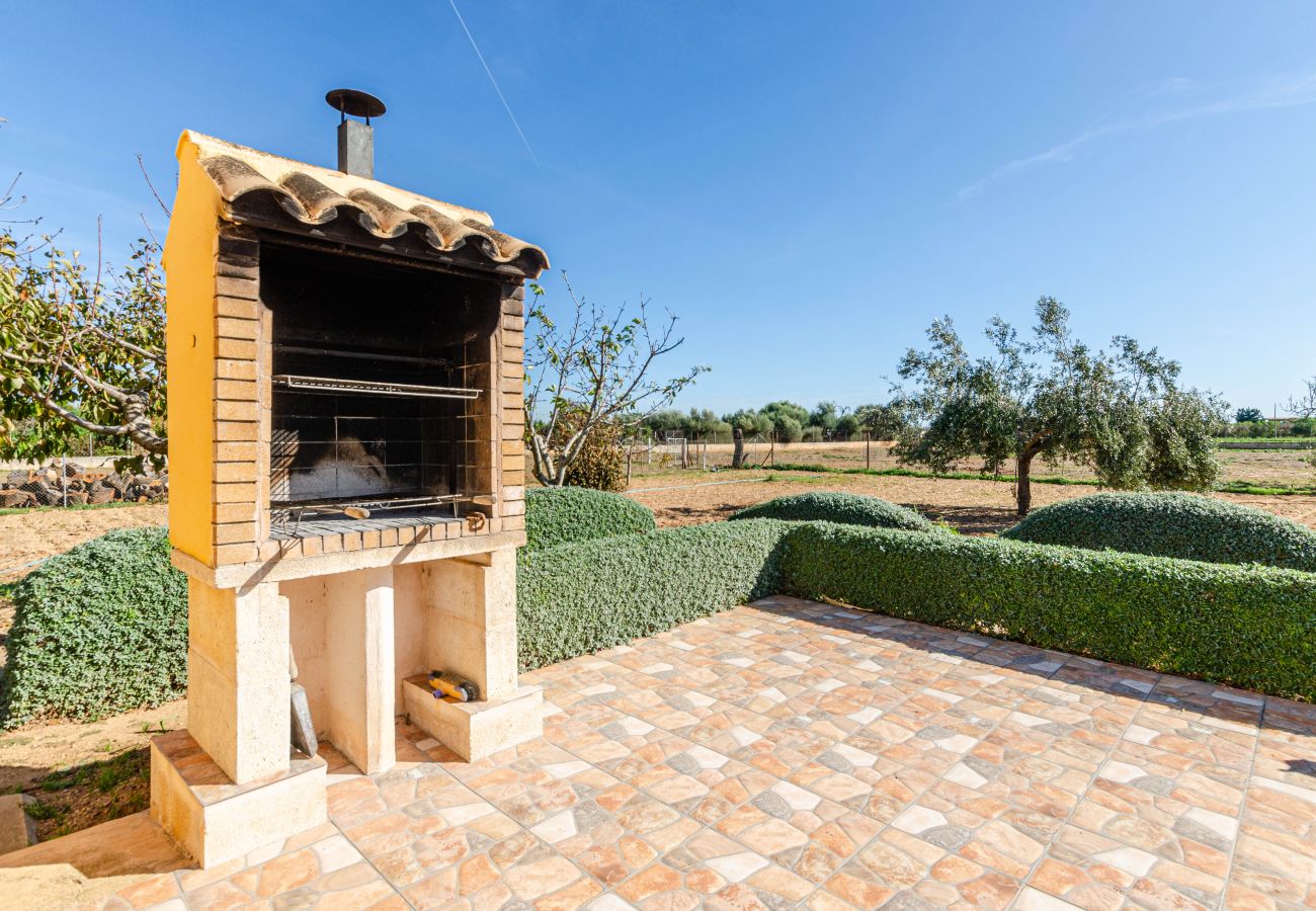 Villa in Sa Pobla - YourHouse Can Carretxet