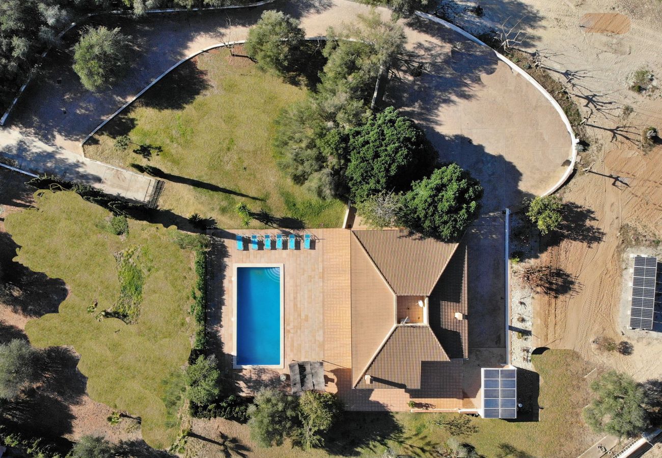 villa, mallorca, alcudia, swimming pool. 