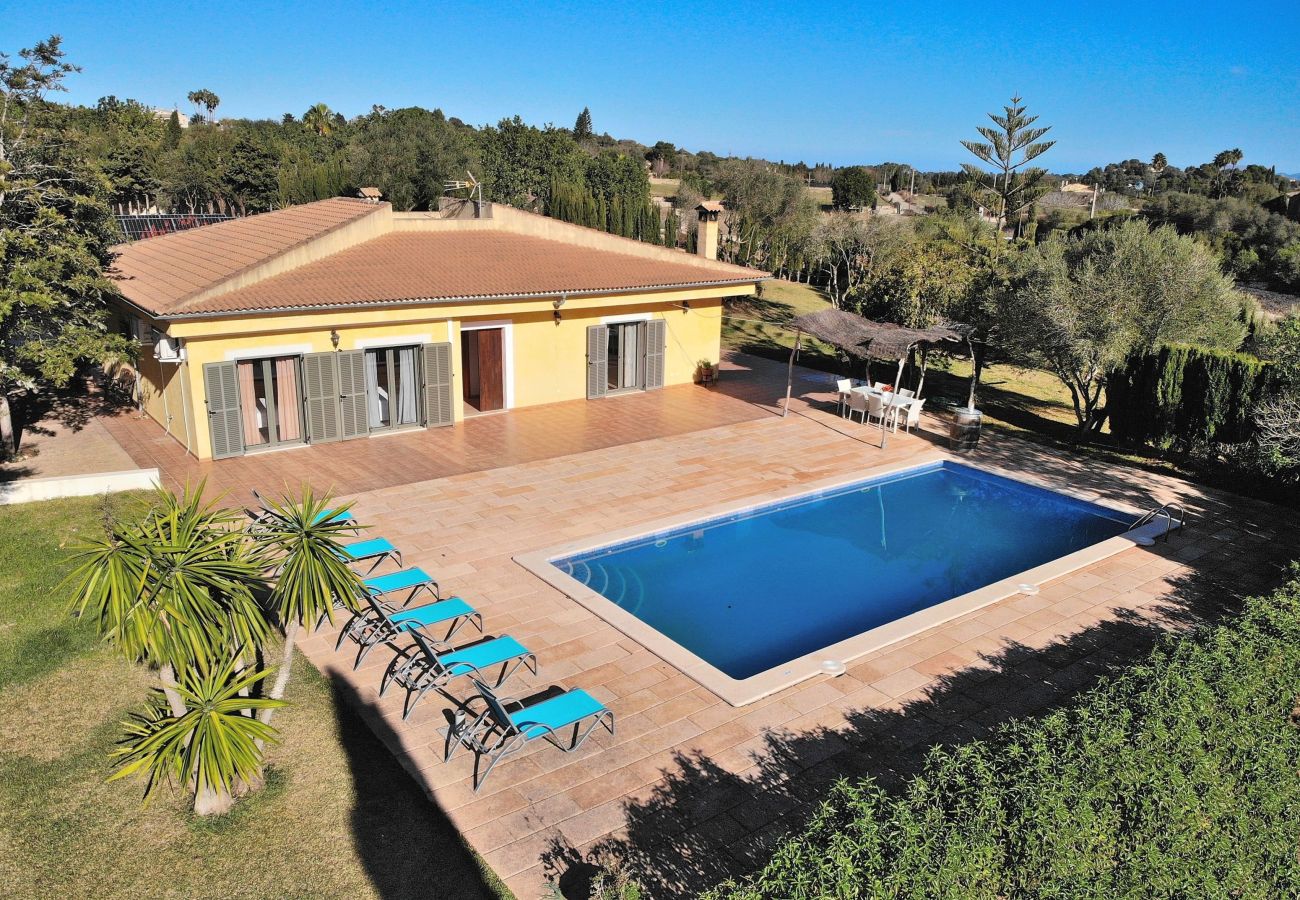 villa, mallorca, alcudia, swimming pool. 