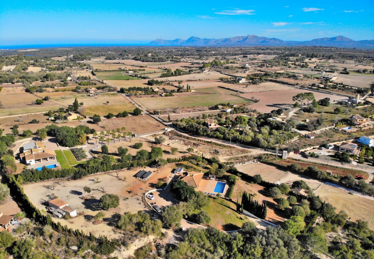 villa, mallorca, alcudia, swimming pool. 