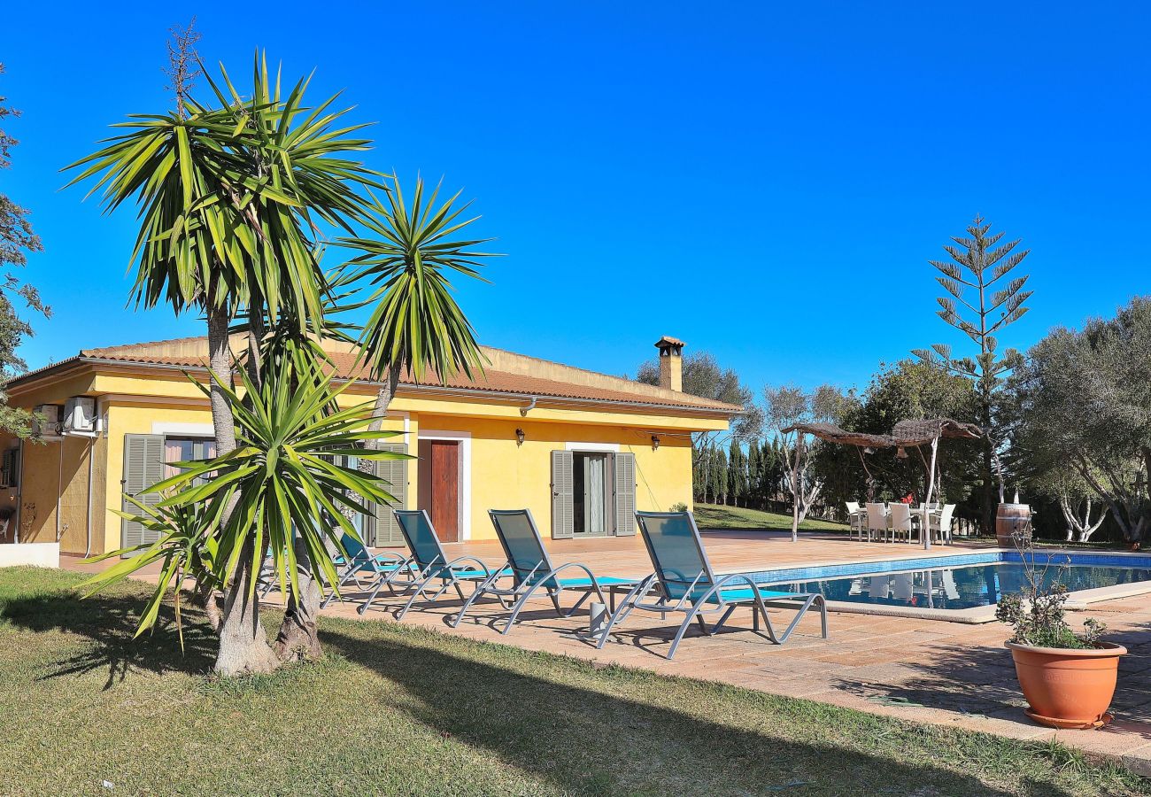 Villa with pool and garden, mallorca, alcudia. 